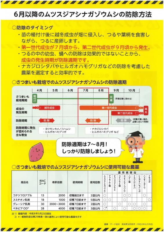 ムツスジ_チラシ4