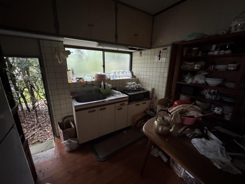 295kitchen